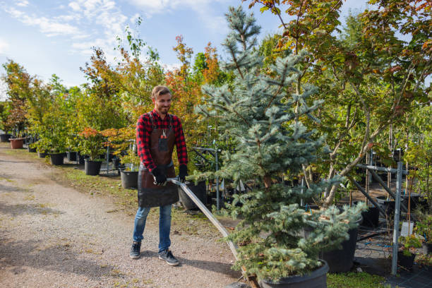 Best Utility Line Clearance  in Cottonwood Heights, UT